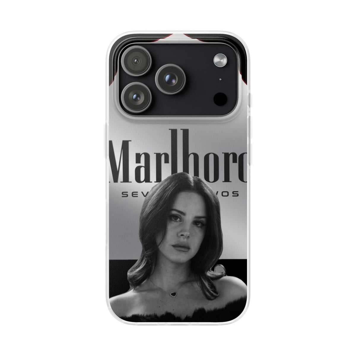 Lana Del Rey Case